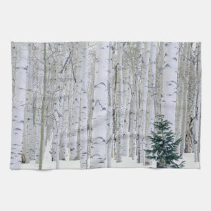 UTAH. USA. Aspen (Populus tremuloides) & Douglas Kökshandduk