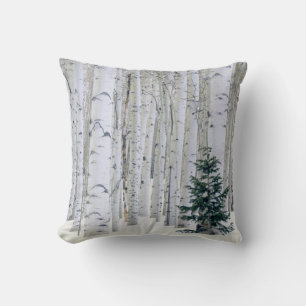 UTAH. USA. Aspen (Populus tremuloides) & Douglas Kudde
