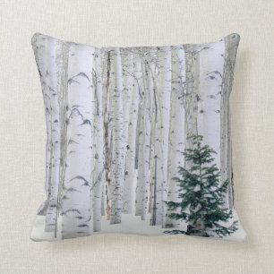 UTAH. USA. Aspen (Populus tremuloides) & Douglas Kudde