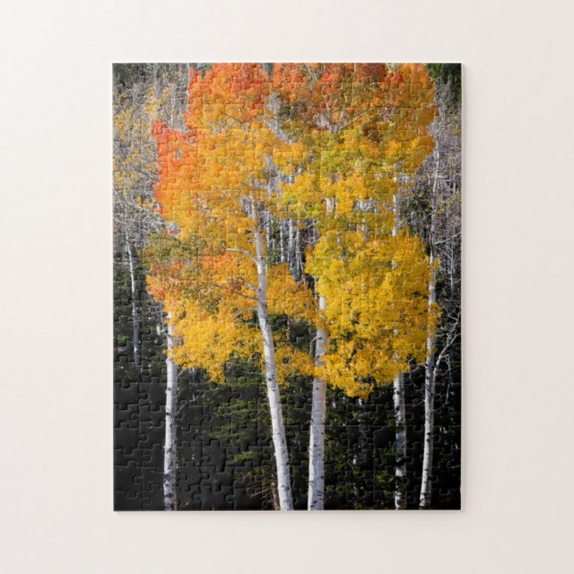 Utah, USA. Aspenträd (Populus Tremuloides) 3 Pussel (Vertikal)