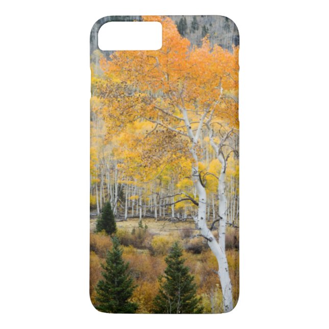 Utah, USA. Aspsträd och videbuskar Case-Mate iPhone Skal (Baksida)
