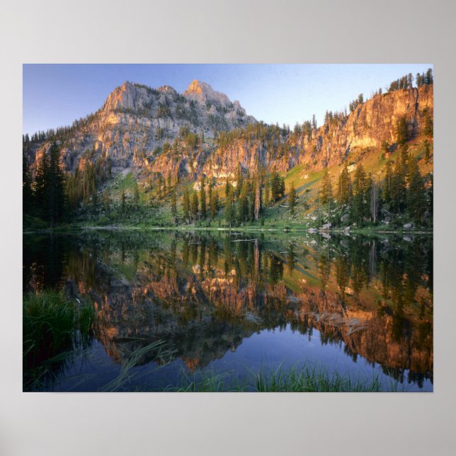 UTAH. USA. Mt. Magog reflekterad i White Gräs Poster (Framsidan)