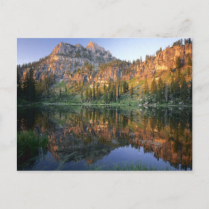 UTAH. USA. Mt. Magog som reflekteras i White Gräs Vykort