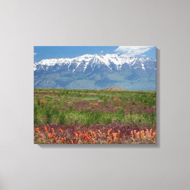 Utah, USA. Mt. Timpanogos Reser Ovanför Canvastryck (Framsida)
