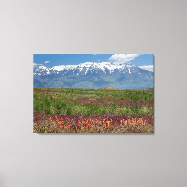 Utah, USA. Mt. Timpanogos Reser Ovanför Canvastryck (Framsida)