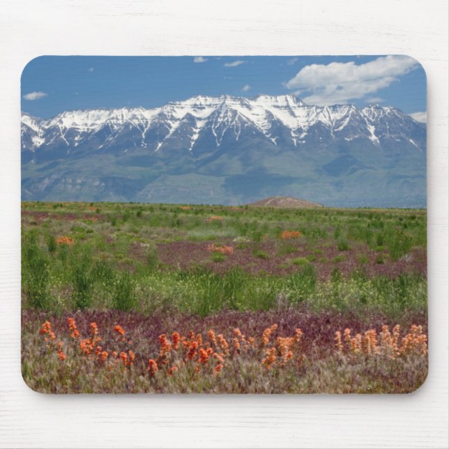 Utah, USA. Mt. Timpanogos reser över Musmatta (Framsidan)