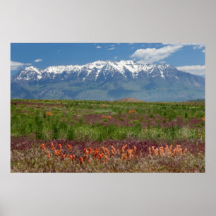 Utah, USA. Mt. Timpanogos reser över Poster