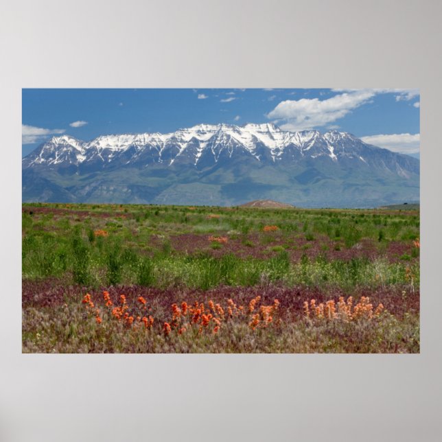 Utah, USA. Mt. Timpanogos reser över Poster (Framsidan)