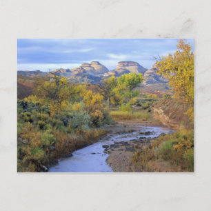 UTAH. USA. Pleasant Creek på hösten vid soluppgång Vykort