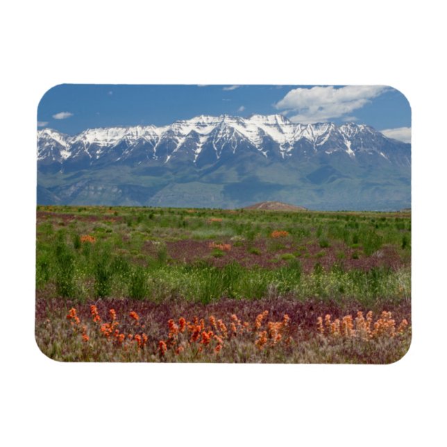Utah, USA. Timpanogos Rises Ove Magnet (Horisontell)