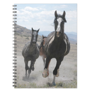 Utah Vild Horses Running Anteckningsbok