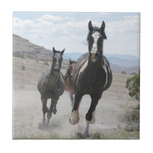 Utah Vild Horses Running Kakelplatta