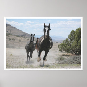 Utah Vild Horses Running Poster