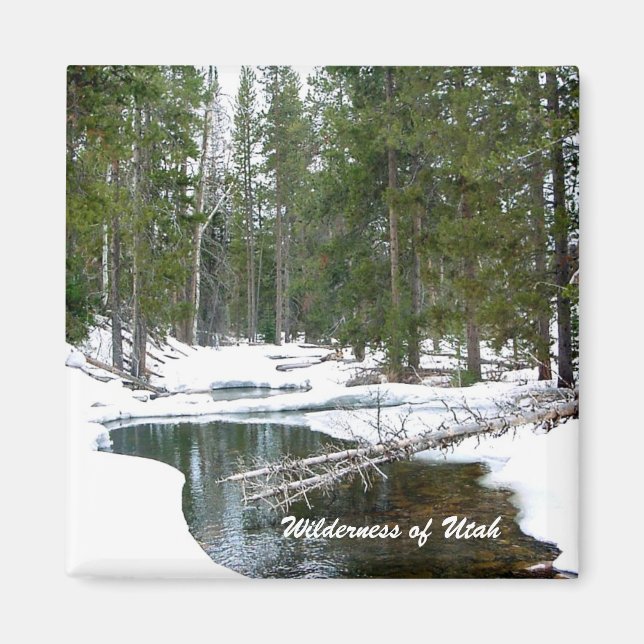 Utah Wilderness Magnet (Framsidan)