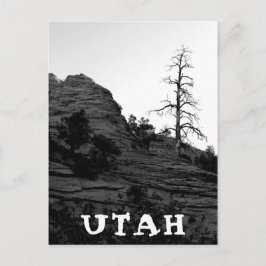UTAH Zion nationalpark Lone Träd Black White Vykort