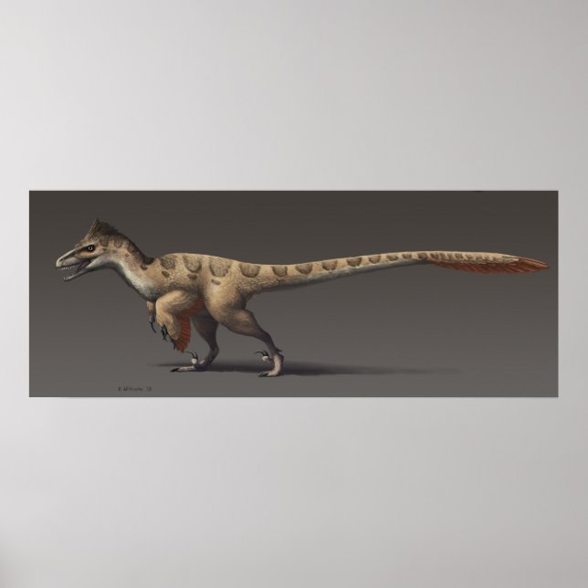Utahraptor Poster (Framsidan)