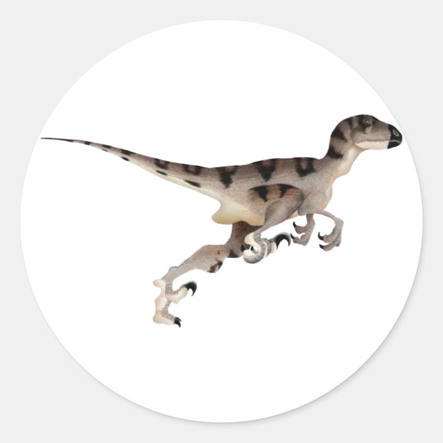 Utahraptor Runt Klistermärke (Framsida)