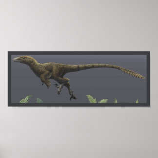 Utahraptor-utskrift Poster