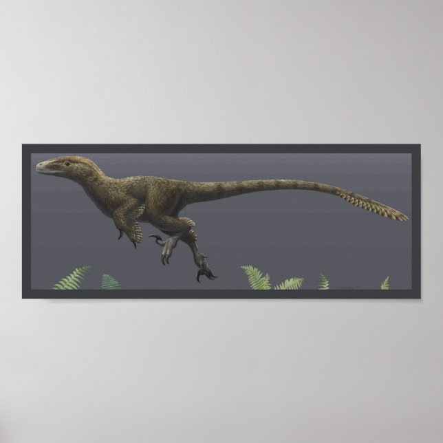 Utahraptor-utskrift Poster (Framsidan)