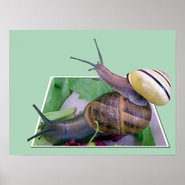 Utanför gränserna skrivs poster (Framsidan)