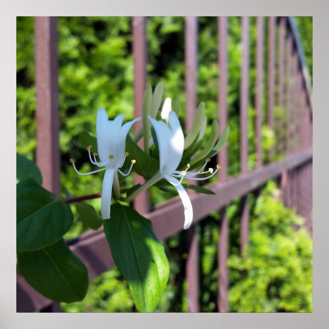 utanför rad poster (Framsidan)