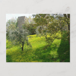 Utanför San Gimignano-murar Vykort