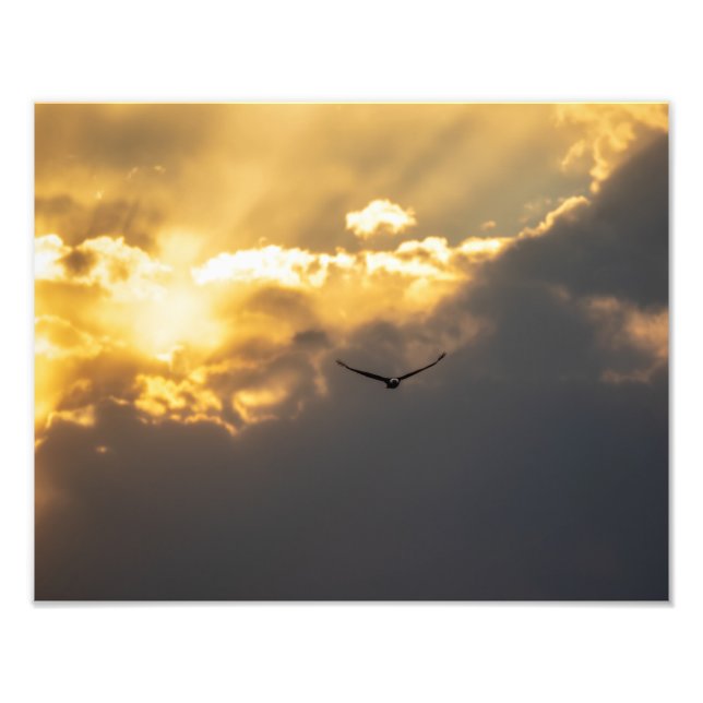 utanför Sol Örn Fototryck (Framsidan)