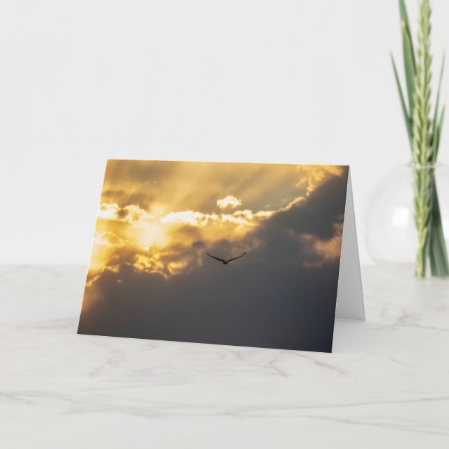 utanför Sol Örn Kort (Framsida)