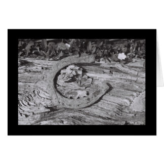 Utanför Tur OBS Kort