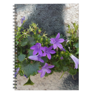utanför väggblomman anteckningsbok med spiral