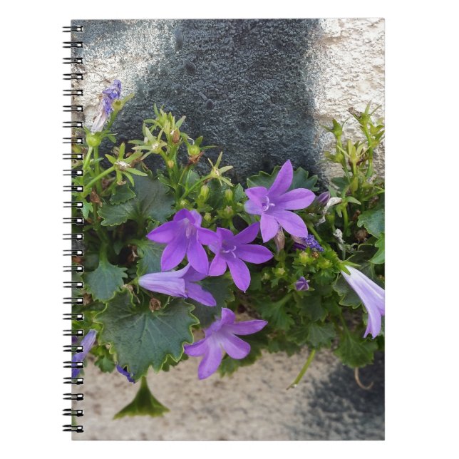 utanför väggblomman anteckningsbok med spiral (Framsidan)