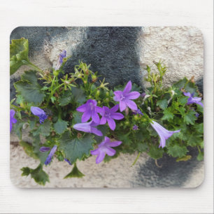 utanför väggblomman musmatta