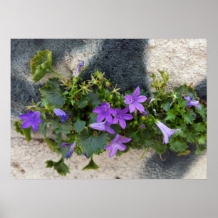 utanför väggblomman poster