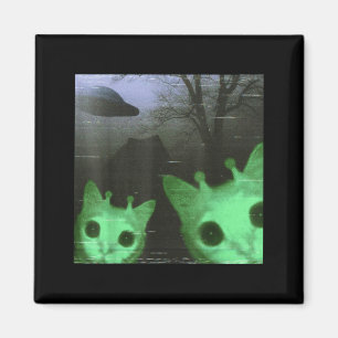 Utanjordiska Katter Ufo Roligt Kusligt Katt Meme F Magnet