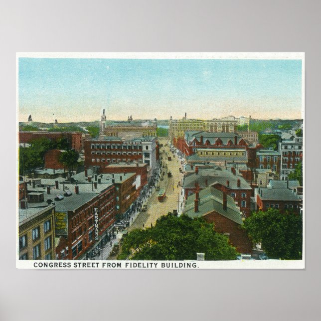 Utåtriktad syn på Longmeders hus Poster (Framsidan)