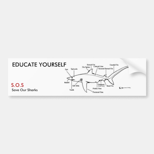 UTBILDA SIG YOURSELF BILDEKAL (Framsidan)