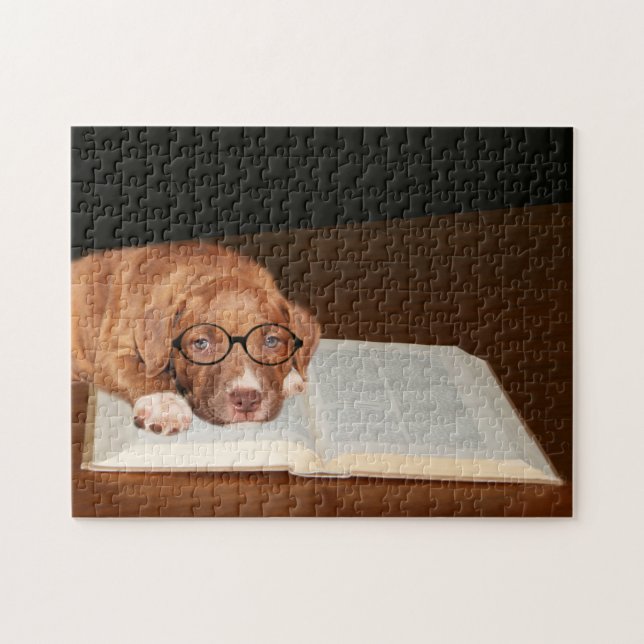 Utbildad Pitbull Terrier Pussel (Horisontell)