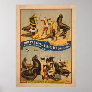 Utbildad sälarcirkusaffisch - Forepaugh & Sells Poster