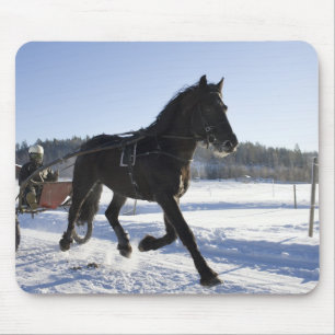 Utbildning av hästar i ett wintry landskap, musmatta