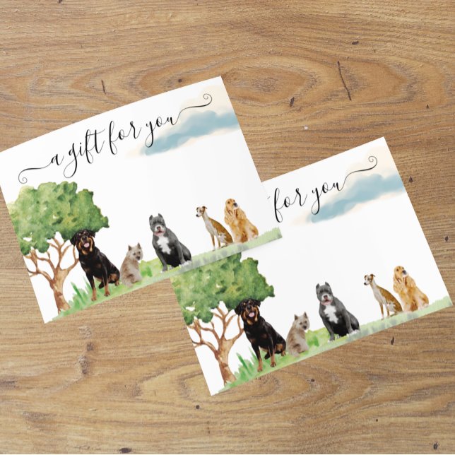 Utbildning av presentkort Hund Pet Sitta Walking (Skapare uppladdad)