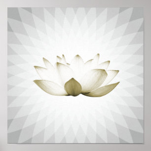 Utbildning för Yoga för terapi för Poster