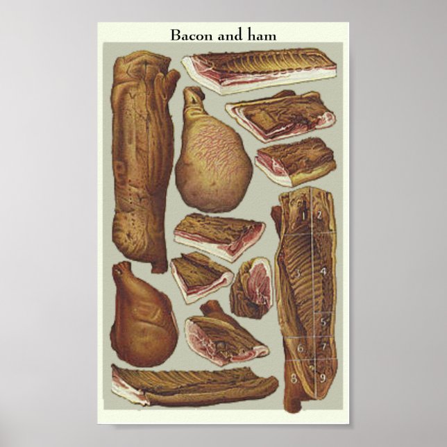 Utbildning i Bacon- och ham-vintage Poster (Framsidan)