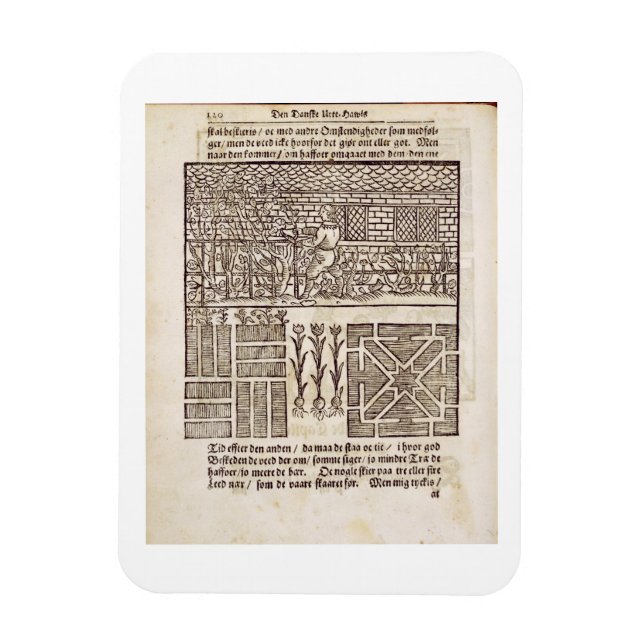 Utbildning och plantering i trädgården, från "The  Magnet (Vertikal)