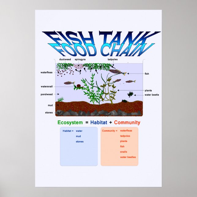 Utbildning, vetenskap, fiskets Tank och livsmedels Poster (Framsidan)