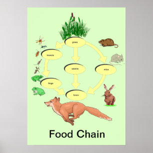 Utbildning, vetenskap och landskapets livsmedelske poster