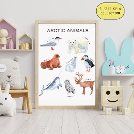 Utbildningsaffisch om arktiska djur perfect poster
