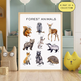 Utbildningsaffisch om skogslevande djur perfect poster