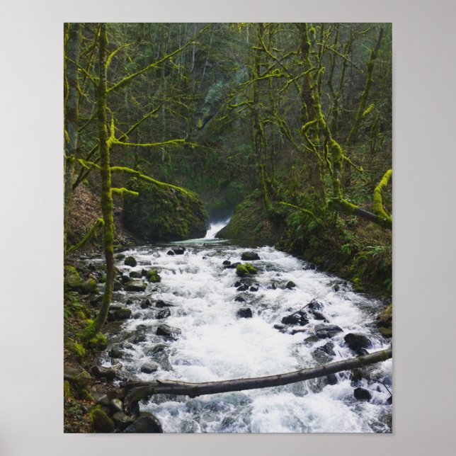 Utbrott från Möhippa Veil Falls, Oregon Poster (Framsidan)