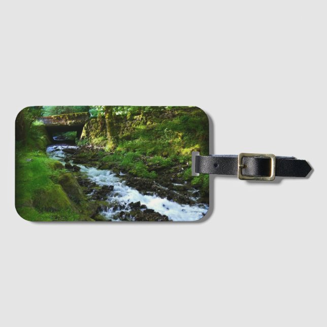 Utbrott från Wahkeena Falls, ELLER Bagagebricka (Framsida horisontal)