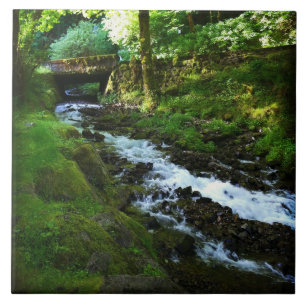 Utbrott från Wahkeena Falls, ELLER Kakelplatta